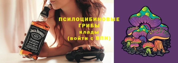 не бодяженный Алексин
