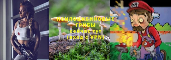 не бодяженный Алексин
